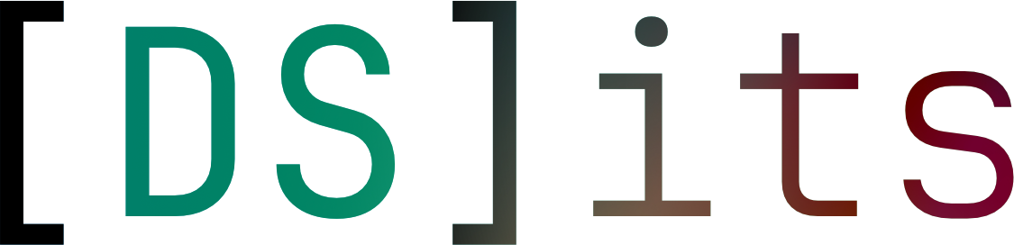 DS-ITS Logo - IT-Service Ruhrgebiet